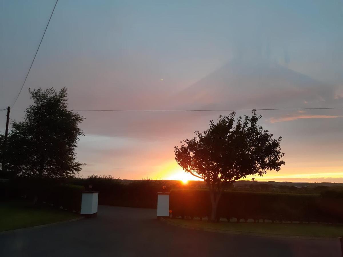 Lecale Bliss Bed & Breakfast Downpatrick Bagian luar foto