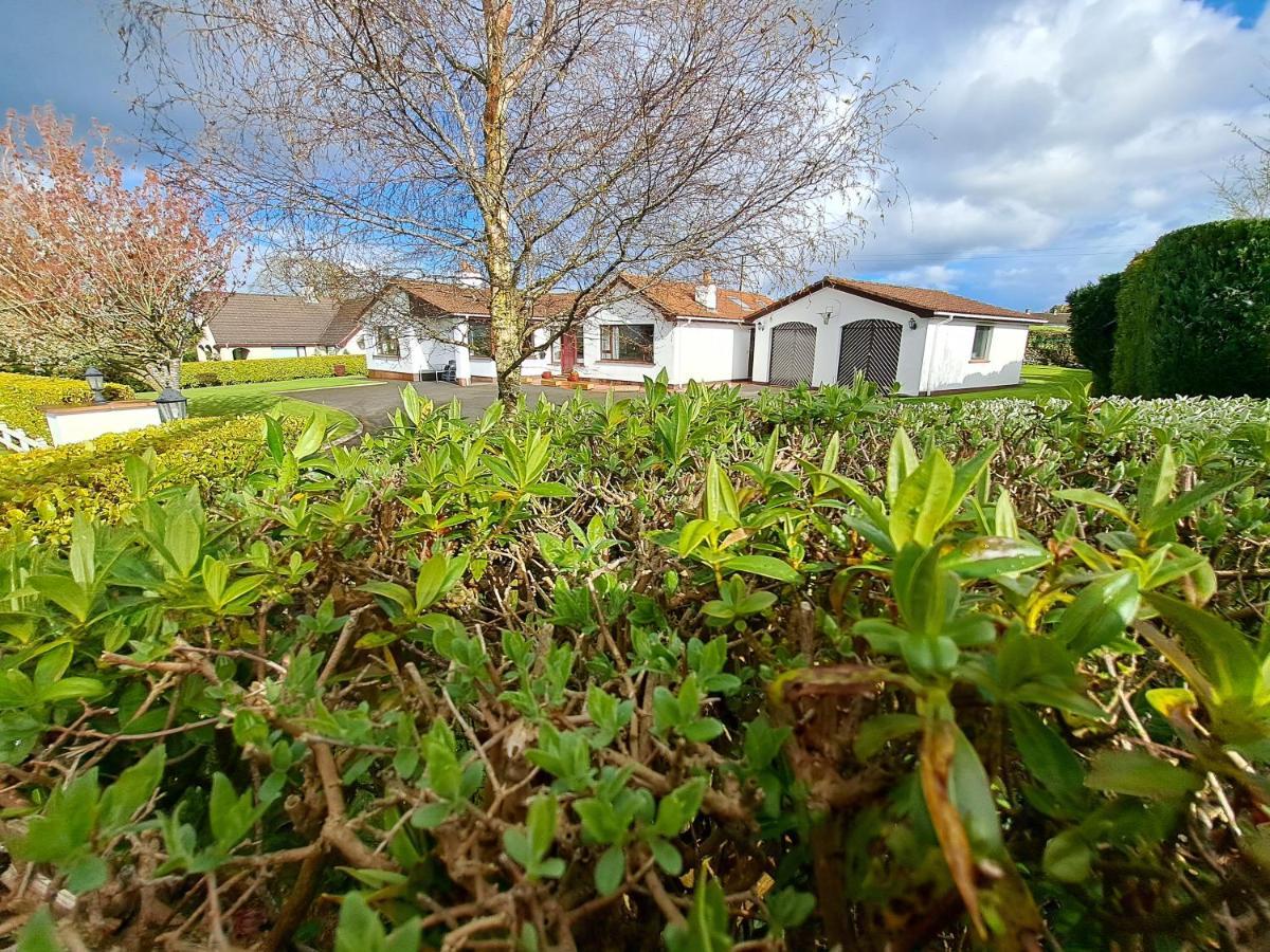 Lecale Bliss Bed & Breakfast Downpatrick Bagian luar foto